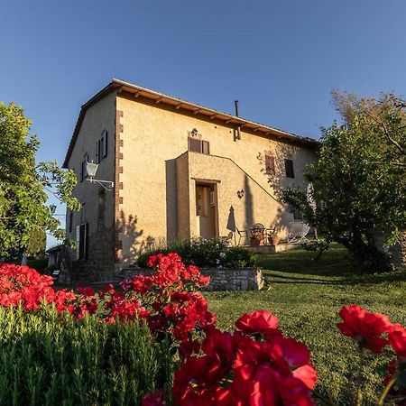 Agriturismo Casanova Asciano Zewnętrze zdjęcie