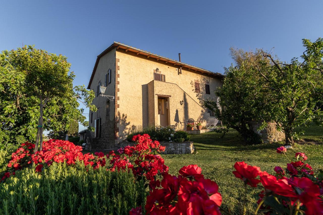 Agriturismo Casanova Asciano Zewnętrze zdjęcie